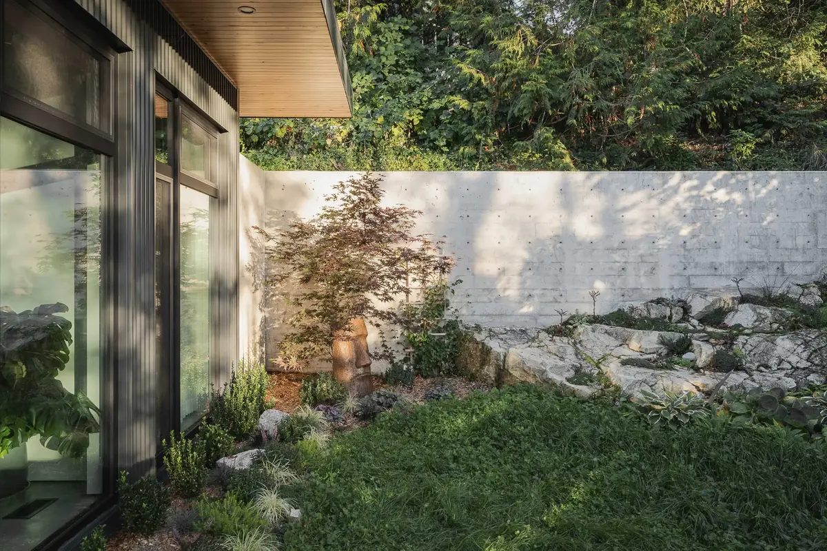 Planted side yard against a concrete retaining wall, a red leafed tree over exposed rock and moss