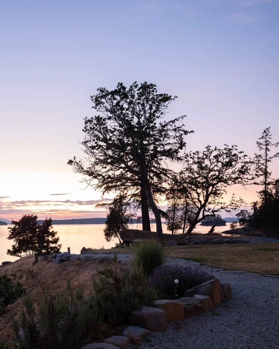Bare trees against a pink sky at dusk, a gravel path along the shoreline garden