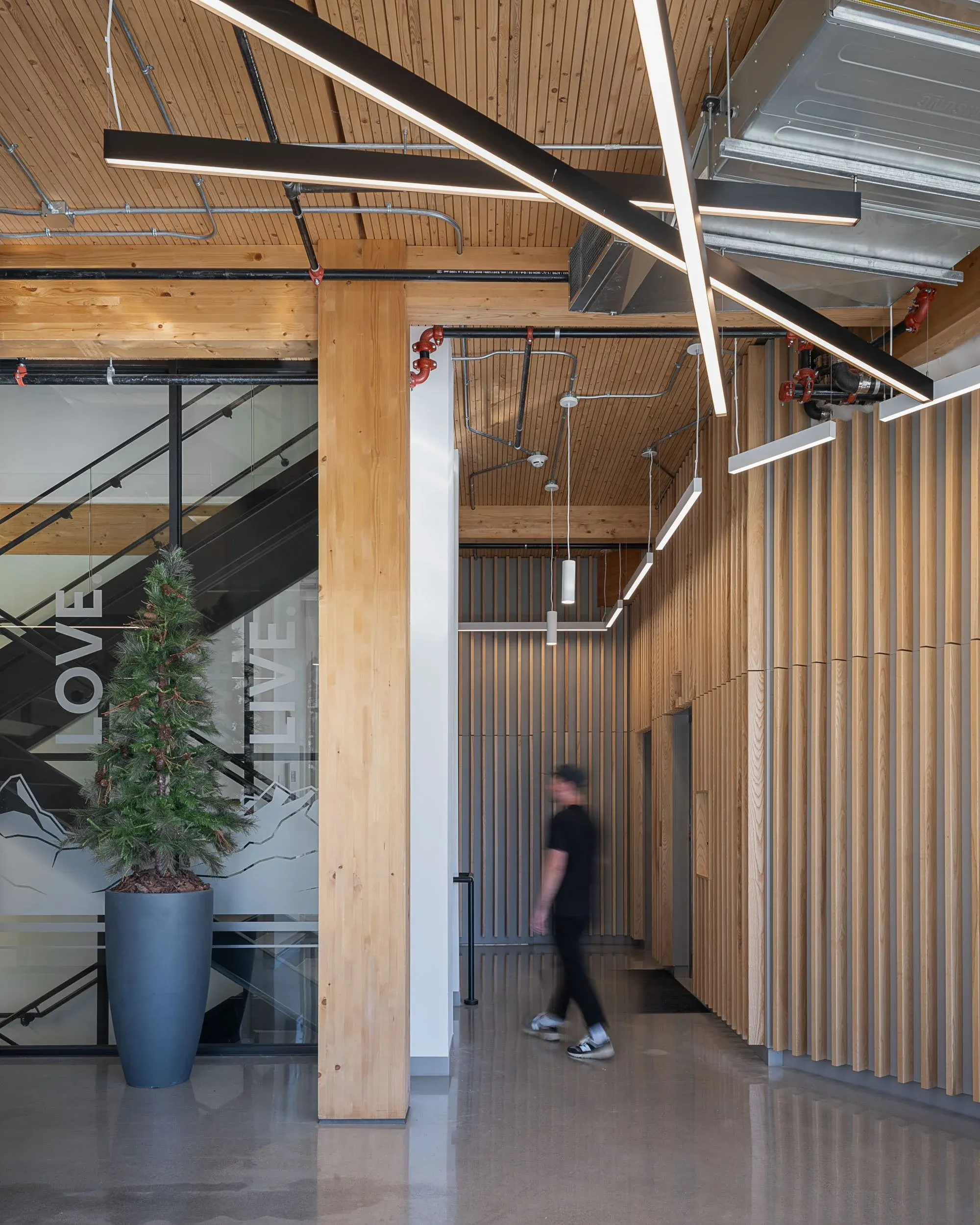 Corridor lined with wood slats, a figure walking past graphics etched on the stair glazing
