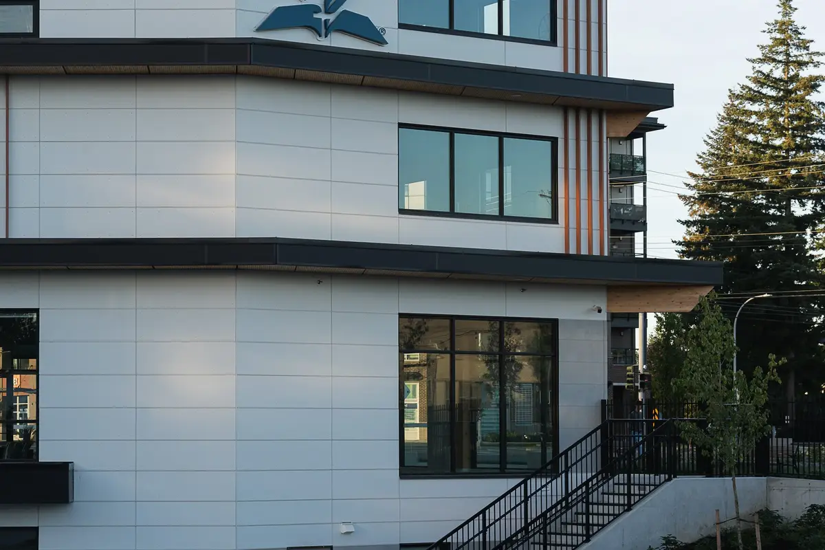 Upper corner in evening light, dark window bands in a white panel wall beside an evergreen
