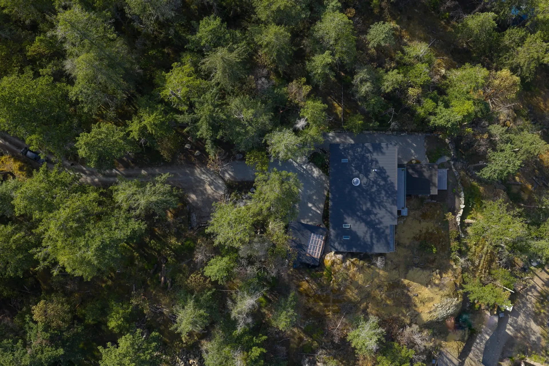 Looking down on the dark roof set into a stand of firs above the shoreline