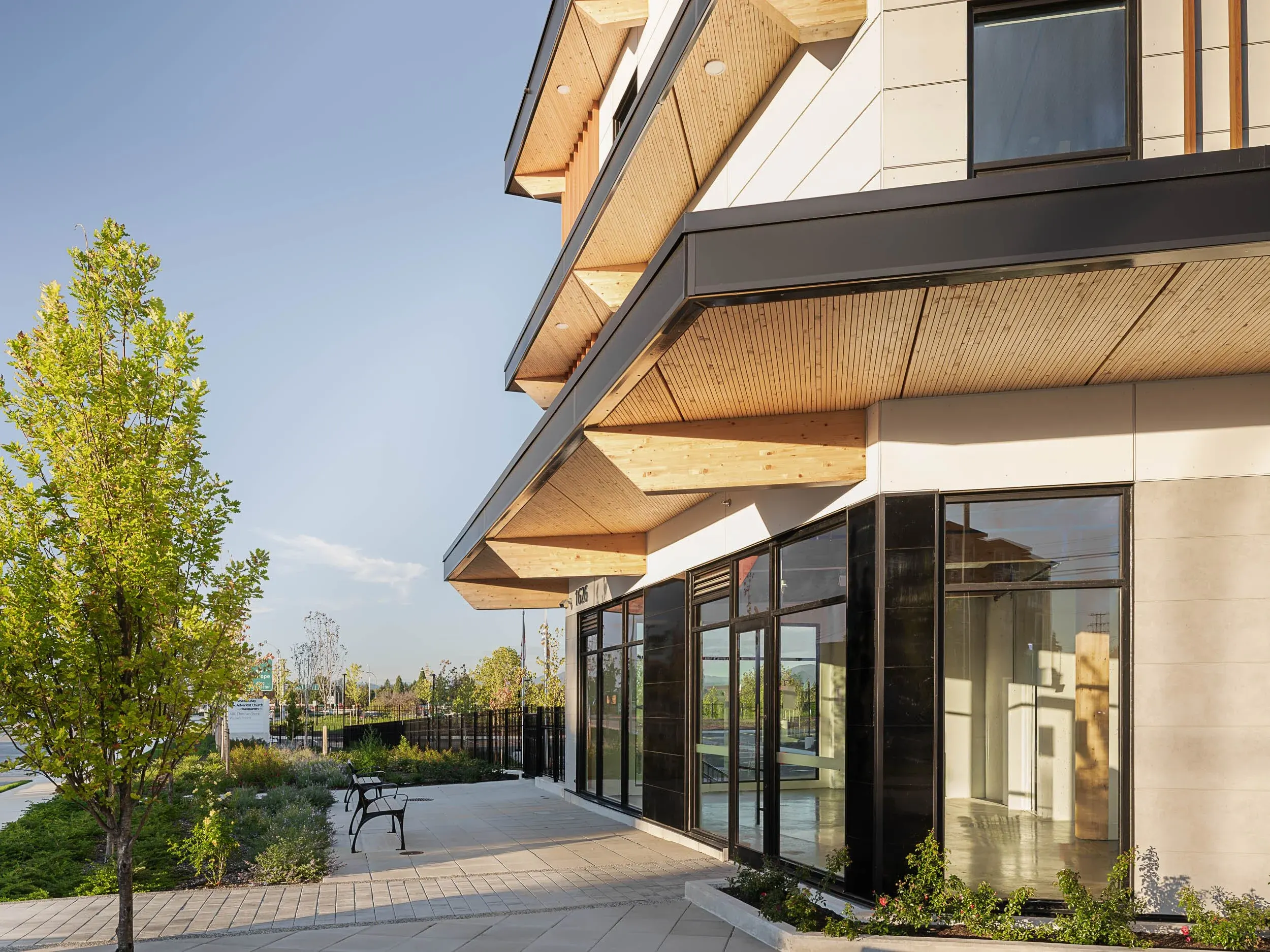 Stacked overhangs with wood soffits running along the glazing, a young tree and bench on the walk