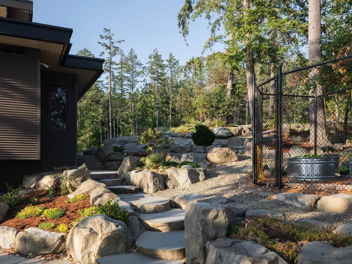 Stepping stones set through a rock garden of boulders, mulch and young shrubs