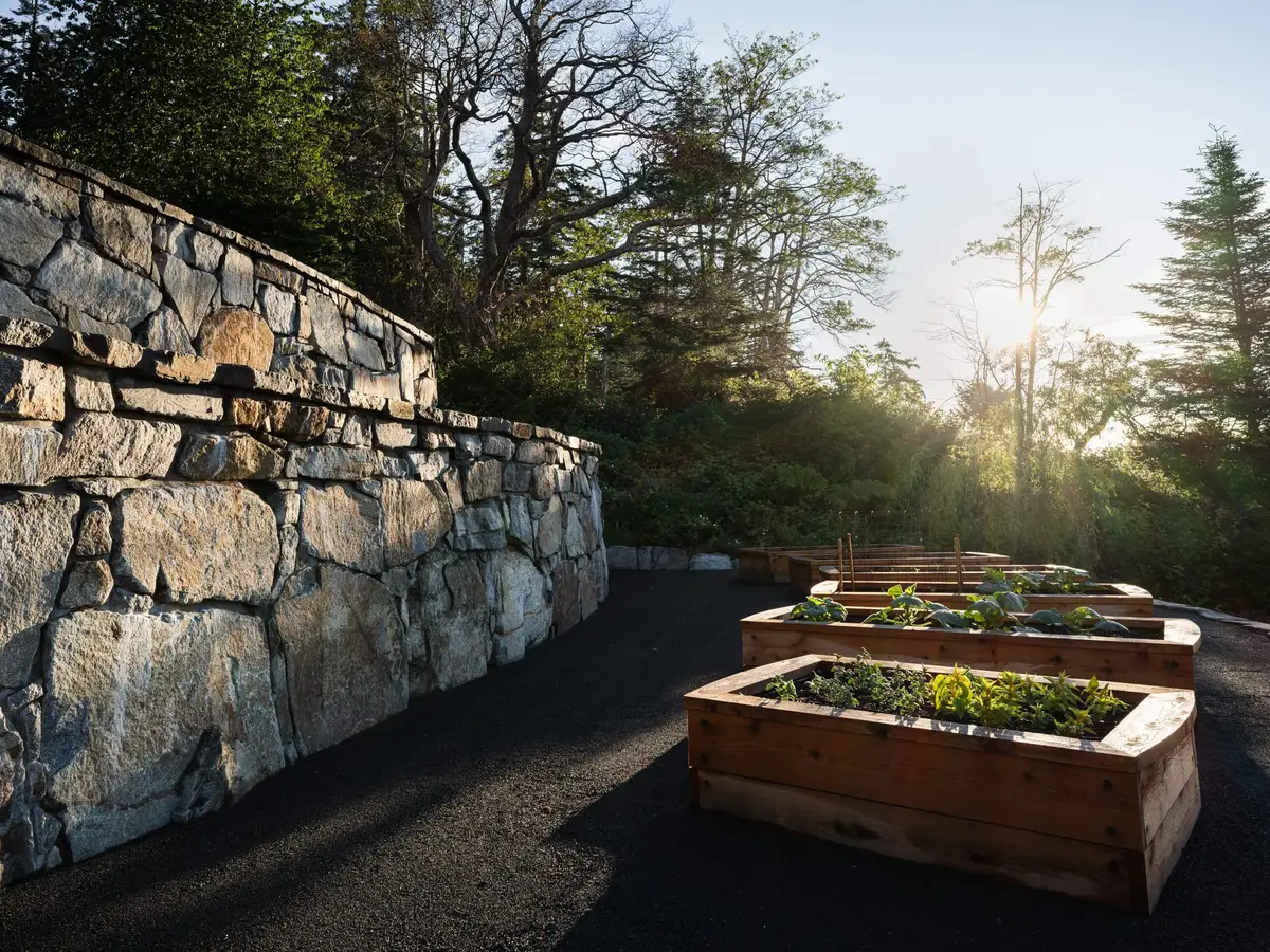 Low sun through the trees above a tall stone wall, planted beds along the gravel