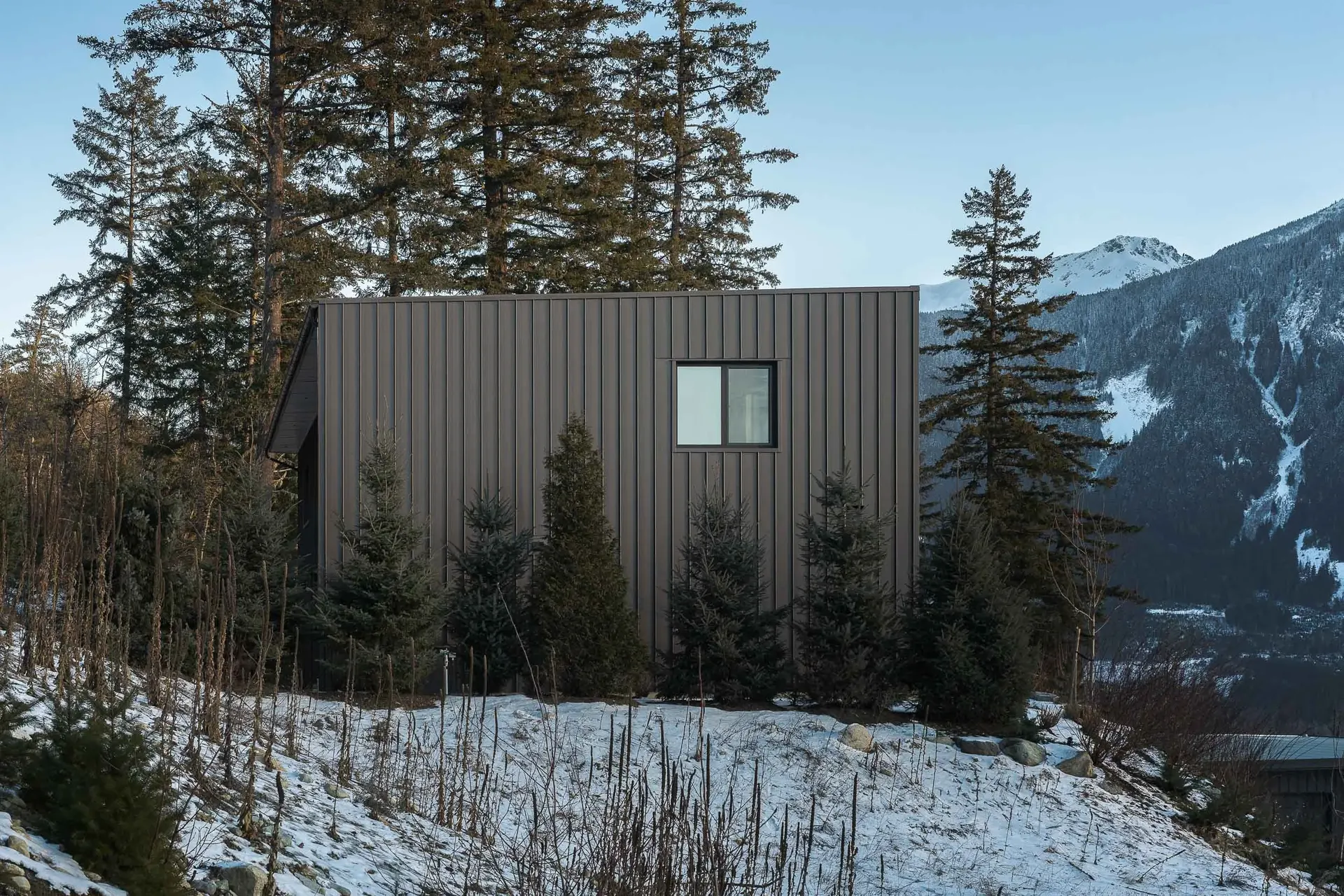 A dark clad volume among young conifers on a snowy slope, mountains at right