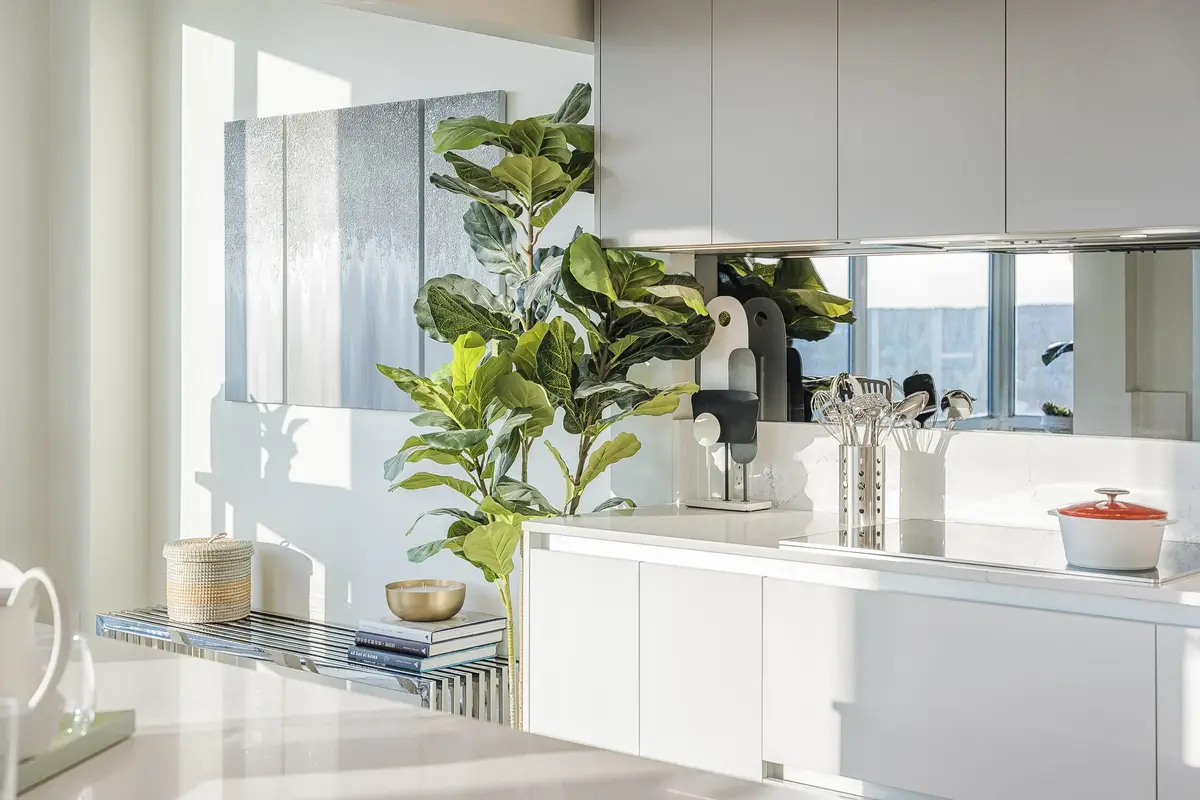 Mirrored backsplash above a white counter, a tall plant beside blue and silver wall panels