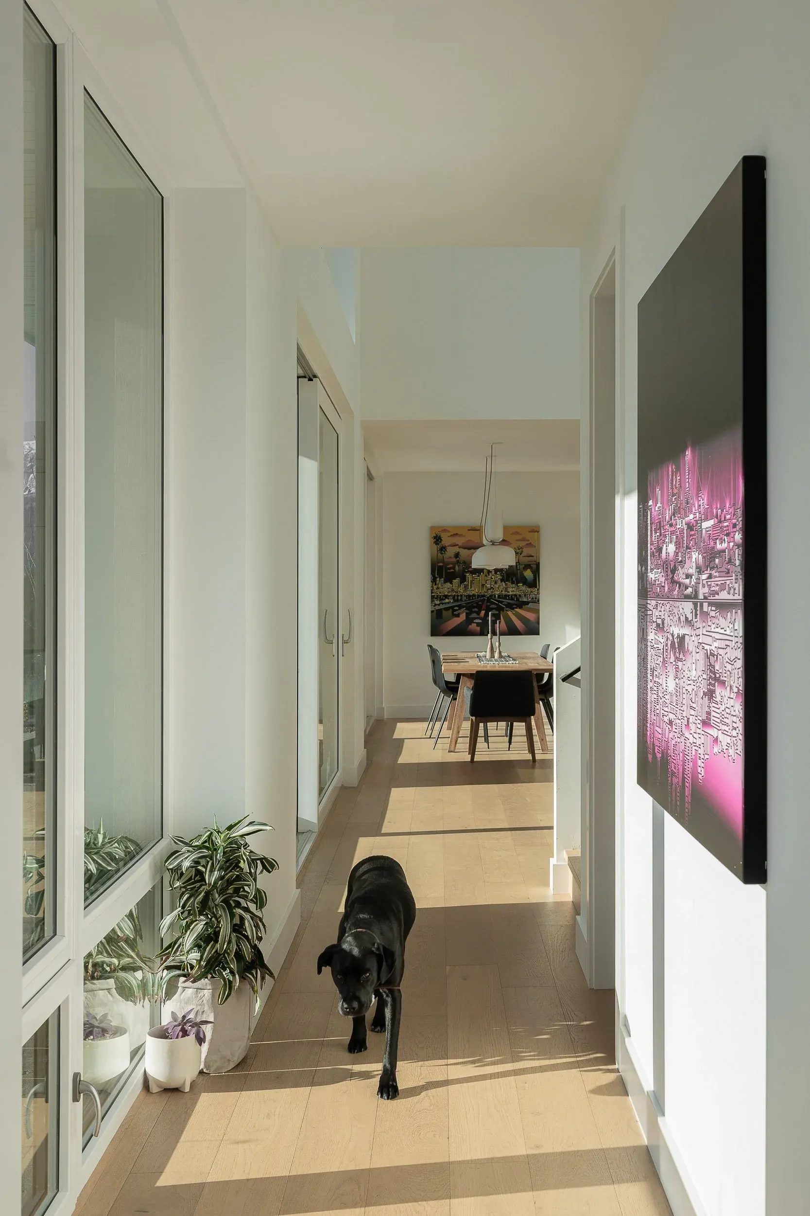 Hallway in low sun, a black dog walking toward the camera, dining room and pendant beyond
