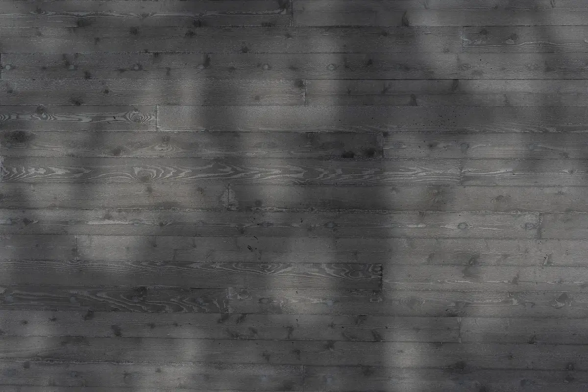 Dark stained horizontal siding in raking light, branch shadows across the boards
