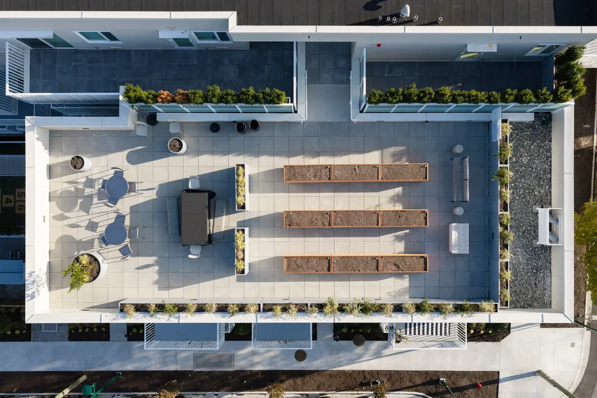 The roof deck from above, long tables between planters