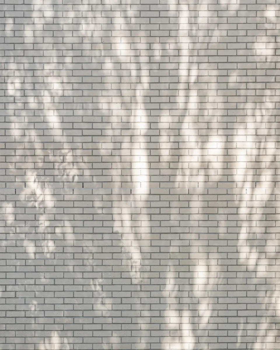 Leaf shadows across the white brick