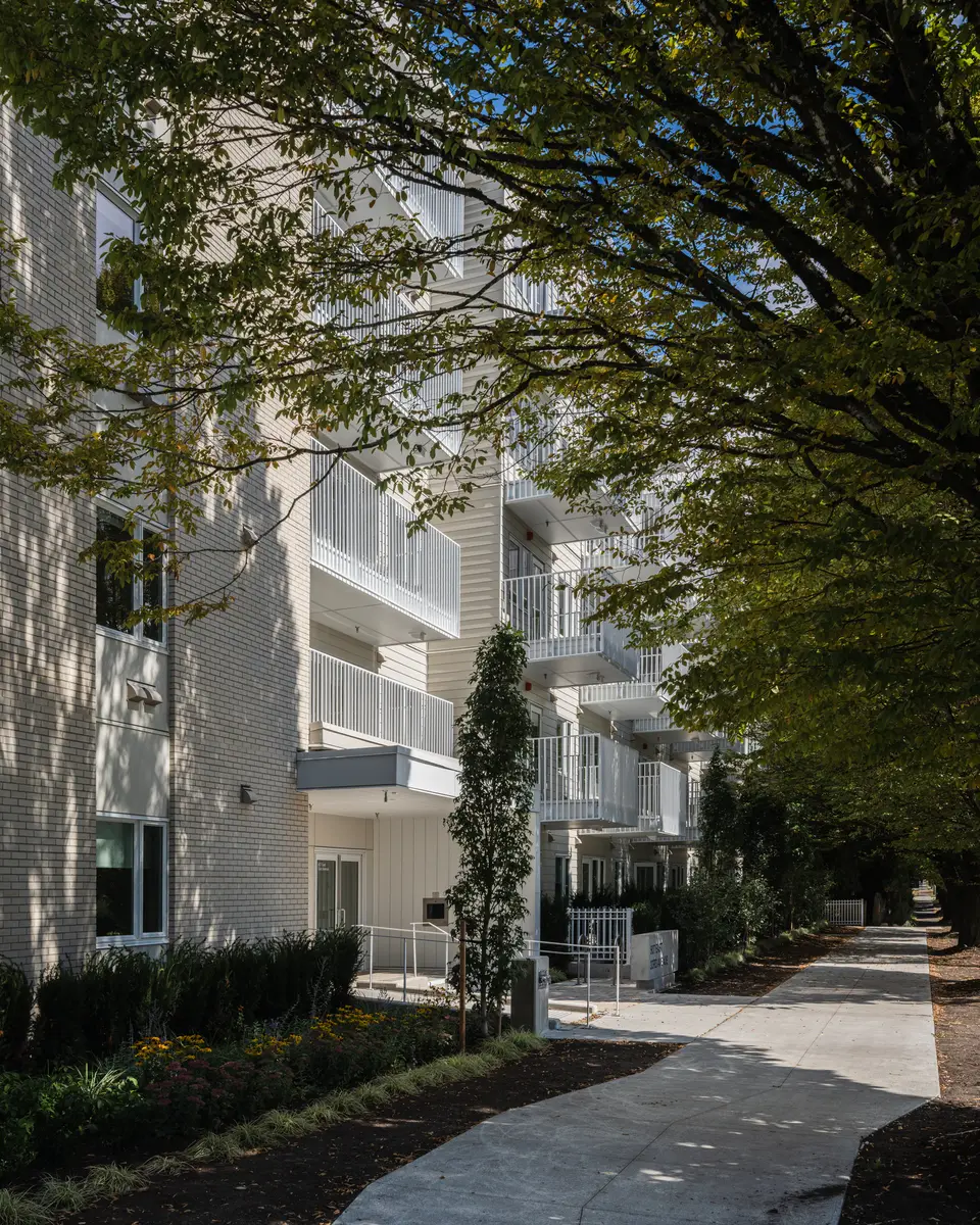 The path under the tree canopy, balconies above