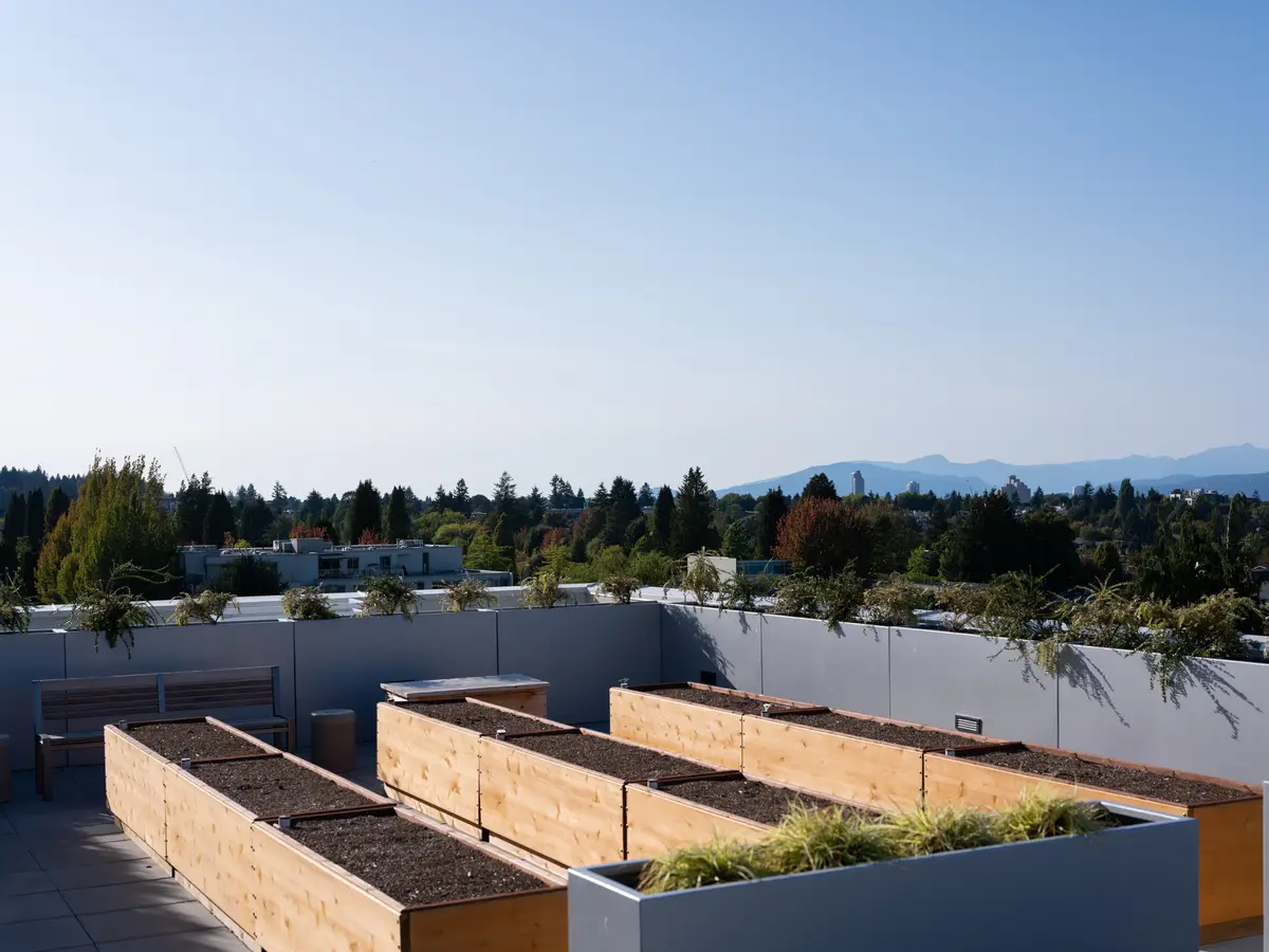 Wood planter boxes on the roof, the city and mountains beyond
