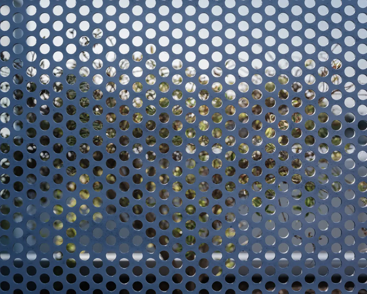 A perforated metal screen with planting behind it