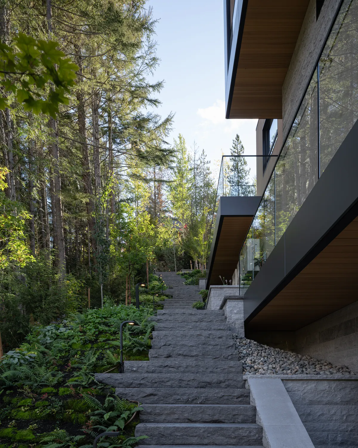 Stone steps down through the firs beside the house, Panorama Ridge, Whistler