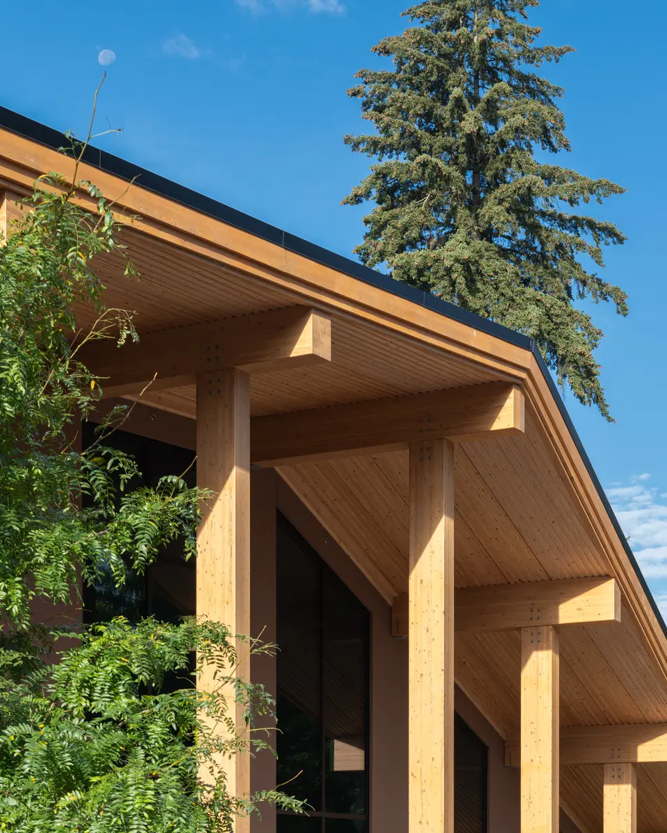 A timber column meeting the wood soffit, a tree beside it