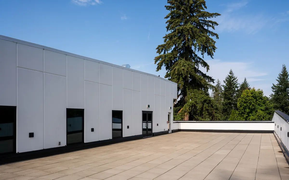 A paved terrace beside a white volume, evergreens beyond